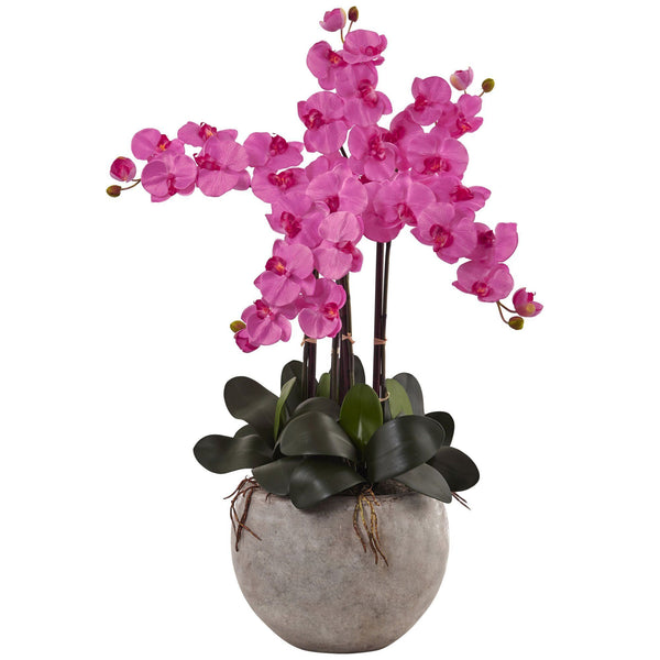 Phalaenopsis Orchid Arrangement with Sand Colored Bowl