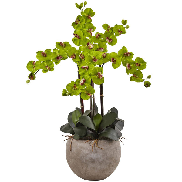 Phalaenopsis Orchid Arrangement with Sand Colored Bowl