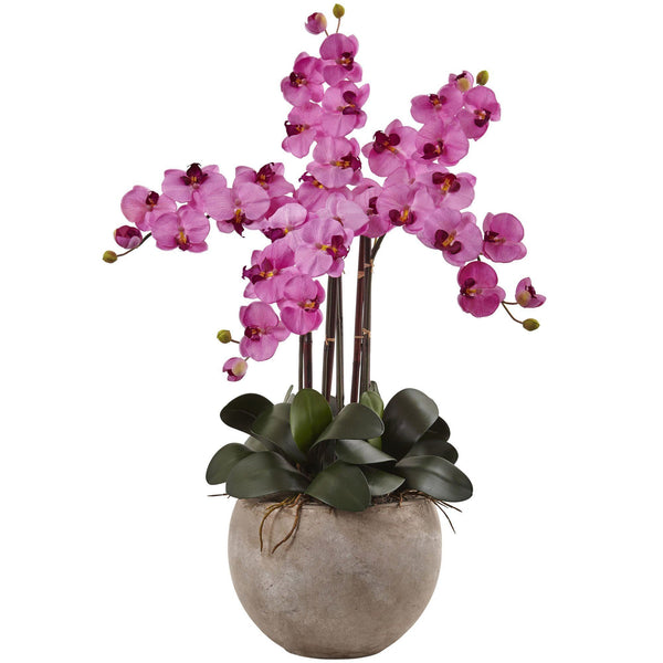 Phalaenopsis Orchid Arrangement with Sand Colored Bowl