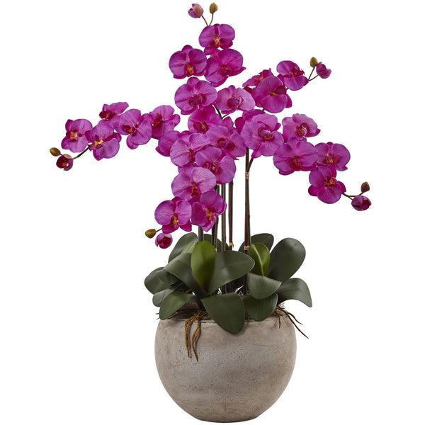 Phalaenopsis Orchid Arrangement with Sand Colored Bowl