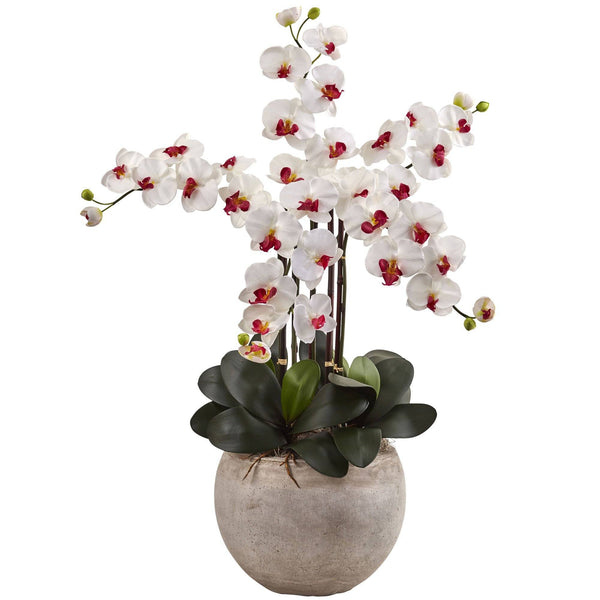 Phalaenopsis Orchid Arrangement with Sand Colored Bowl