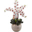 Phalaenopsis Orchid Arrangement with Sand Colored Bowl