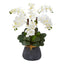 Phalaenopsis Orchid Artificial Arrangement in Stoneware Vase