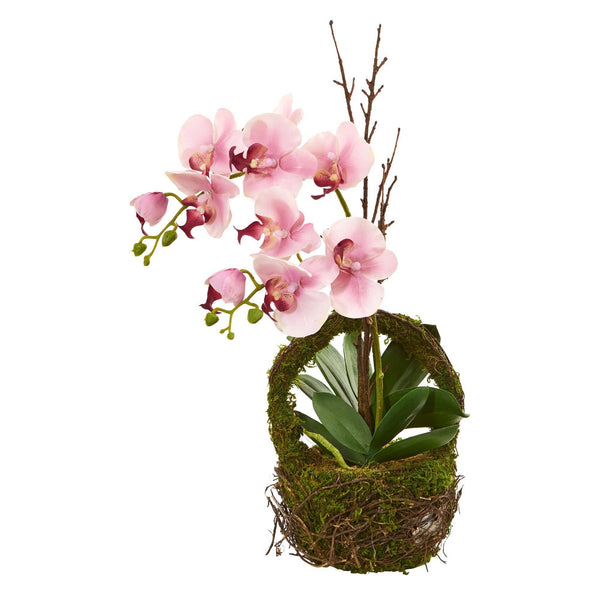 Phalaenopsis Orchid Artificial Arrangement in Twig Basket