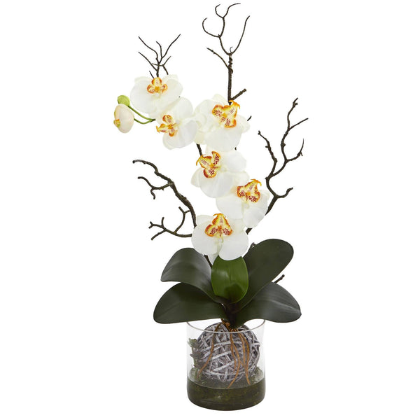 Phalaenopsis Orchid Artificial Arrangement in Vase