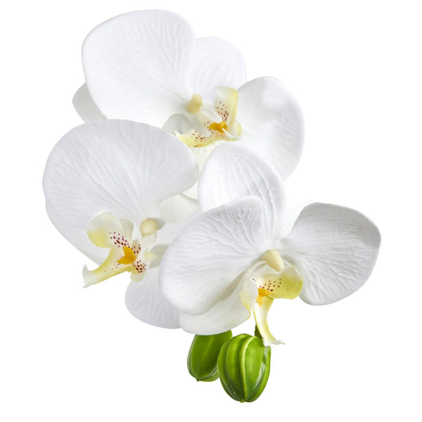 Phalaenopsis Orchid Artificial Arrangement in Vase (Set of 2)