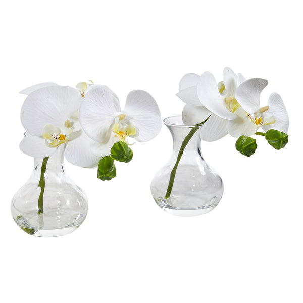 Phalaenopsis Orchid Artificial Arrangement in Vase (Set of 2)