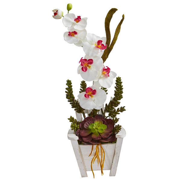 Phalaenopsis Orchid & Succulent Artificial Arrangement in Chair Planter