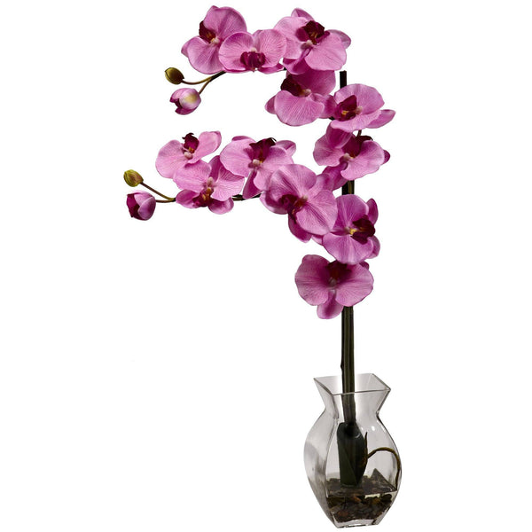 Phalaenopsis Orchid w/Vase Arrangement