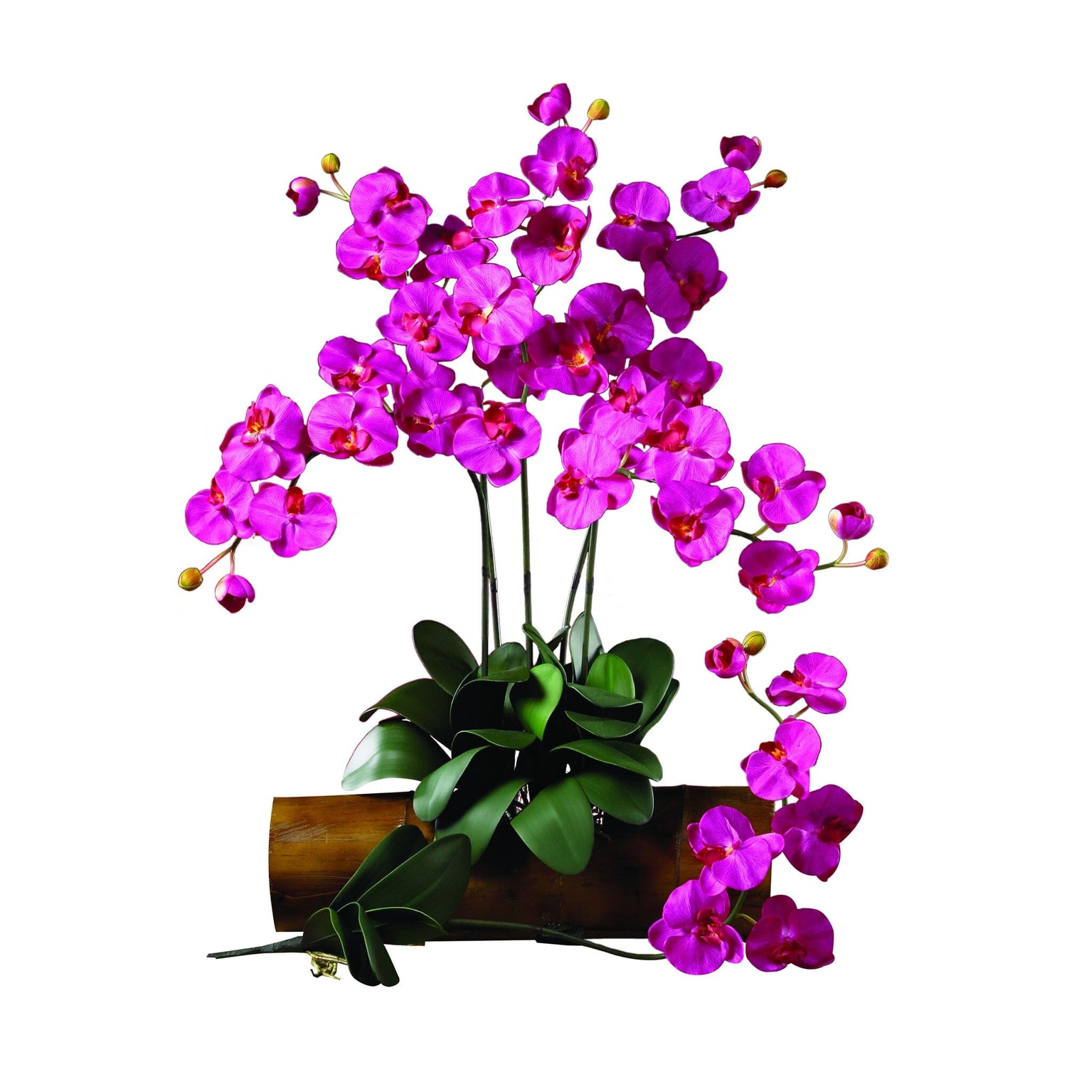 Phalaenopsis Silk Orchid Flower w/Leaves (6 Stems)