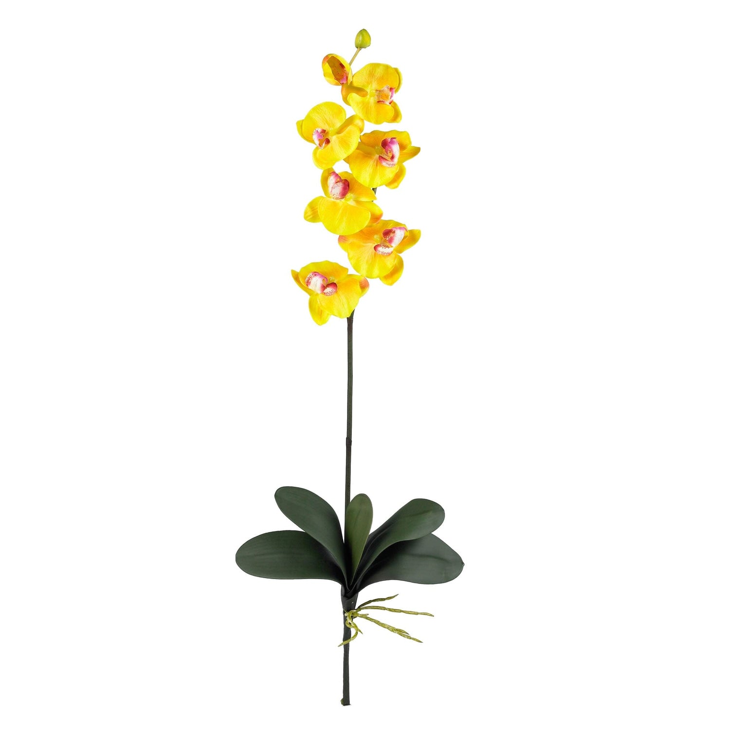 Phalaenopsis Silk Orchid Flower w/Leaves (6 Stems)