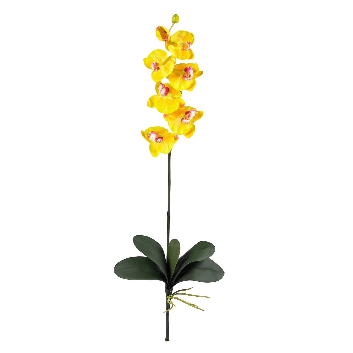 Nearly Natural Phalaenopsis Silk Orchid Flower Stems - Beauty, Set