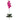 Phalaenopsis Stem (Set of 12)