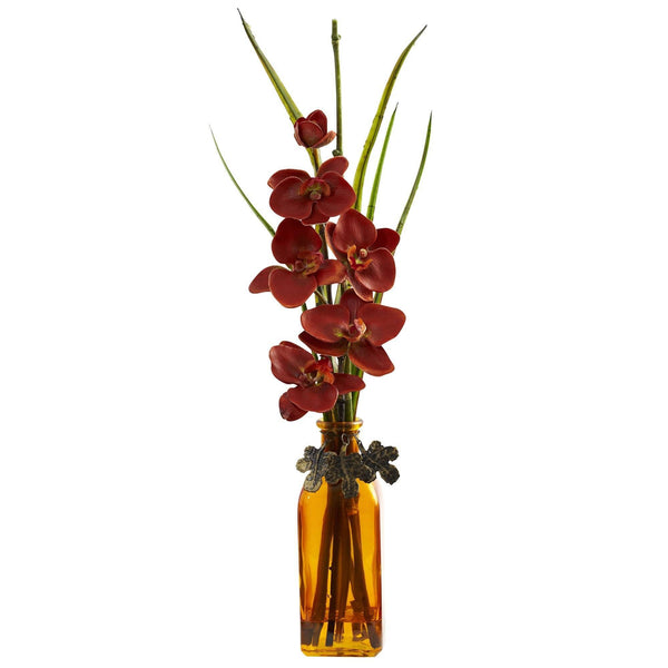 Phalaenopsis w/Colored Jar (Set of 2)