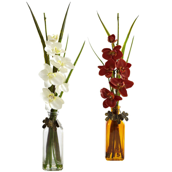 Phalaenopsis w/Colored Jar (Set of 2)