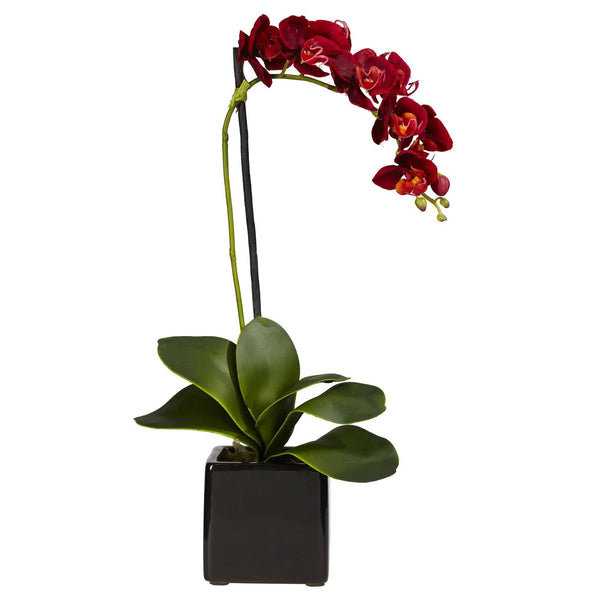 Phaleanopsis Orchid w/Black Vase Silk Arrangement (Set of 2)