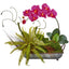 Phelaenopsis Orchid and Fern Artificial Arrangement in Metal Tray