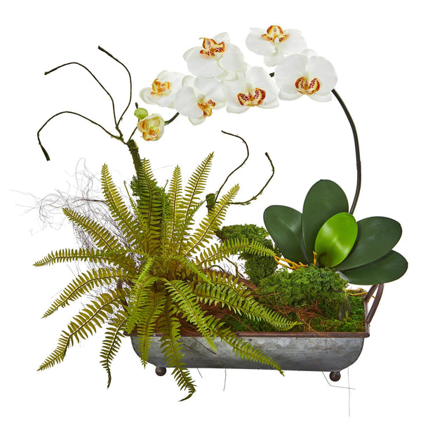 Phelaenopsis Orchid and Fern Artificial Arrangement in Metal Tray