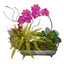 Phelaenopsis Orchid and Fern Artificial Arrangement in Metal Tray