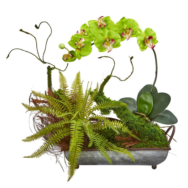 Phelaenopsis Orchid and Fern Artificial Arrangement in Metal Tray