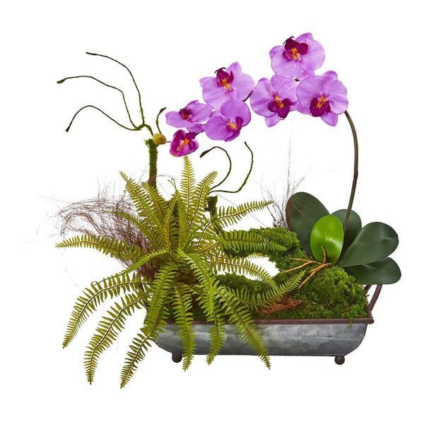 Phelaenopsis Orchid and Fern Artificial Arrangement in Metal Tray