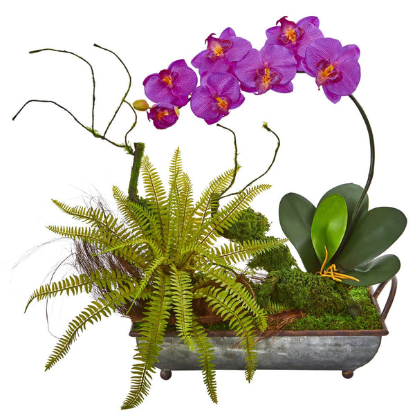 Phelaenopsis Orchid and Fern Artificial Arrangement in Metal Tray