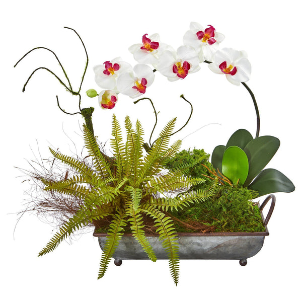 Phelaenopsis Orchid and Fern Artificial Arrangement in Metal Tray