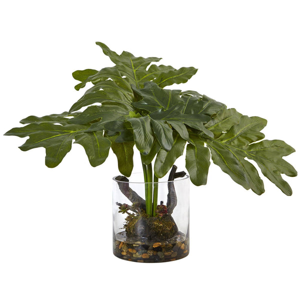 Philodendron Arrangement with Vase