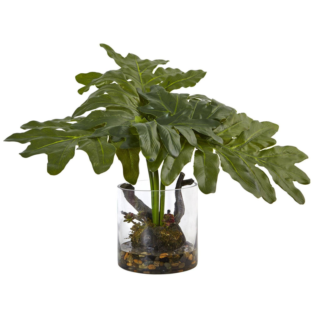 philodendron in water vase Philodendron Arrangement with Vase