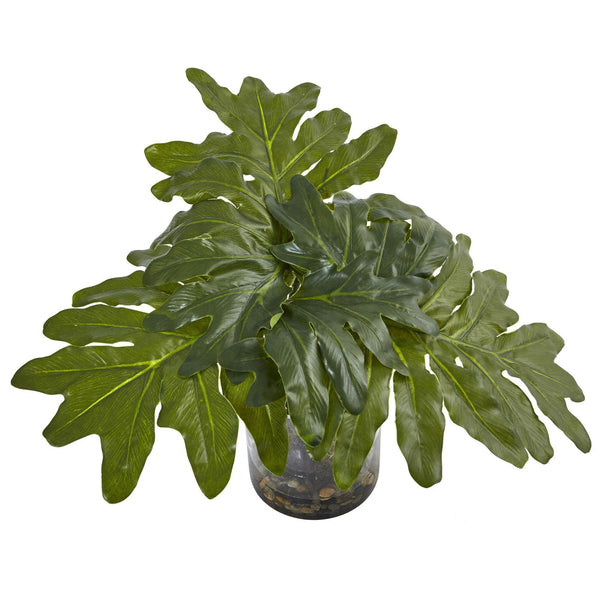philodendron selloum leaves curling Philodendron Arrangement with Vase