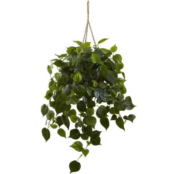 Philodendron Hanging Basket UV Resistant (Indoor/Outdoor)