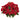 Poinsettia w/White Wash Planter Silk Arrangement