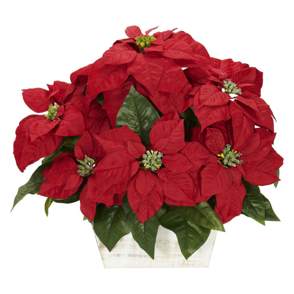 Poinsettia w/White Wash Planter Silk Arrangement