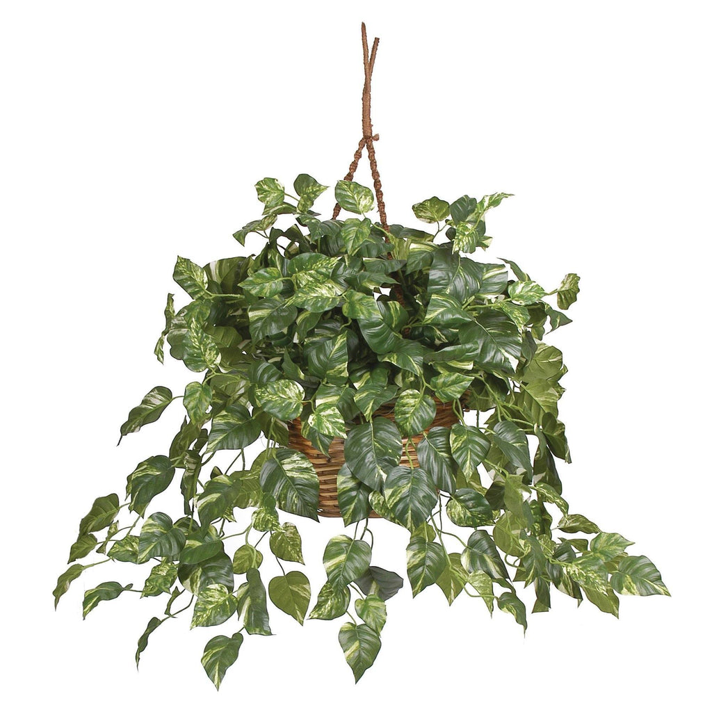 pothos hanging planter Pothos Hanging Basket Silk Plant