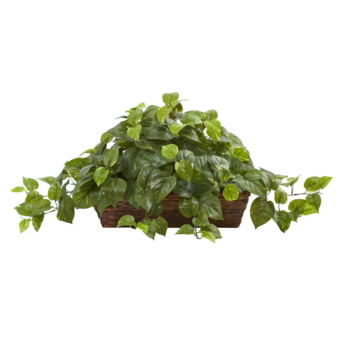 nearly natural pothos with ledge basket Pothos w/Ledge Basket