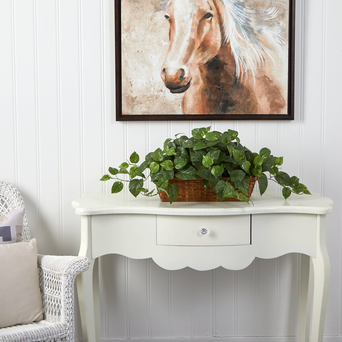 pothos ledge Pothos w/Ledge Basket