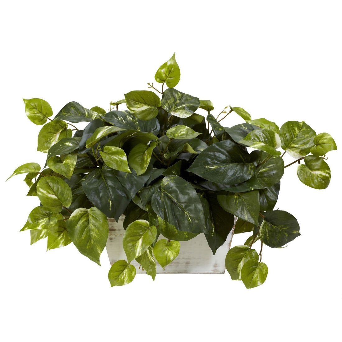 silk pothos Pothos w/White Wash Planter Silk Plant