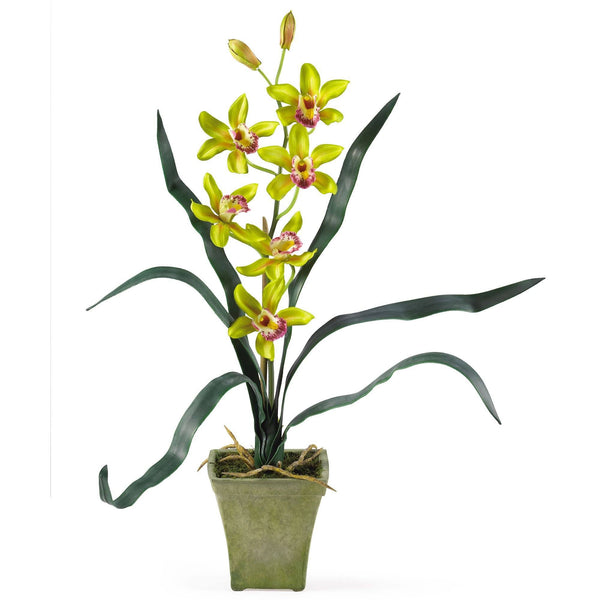 Potted Orchid Mix (Set of 3)