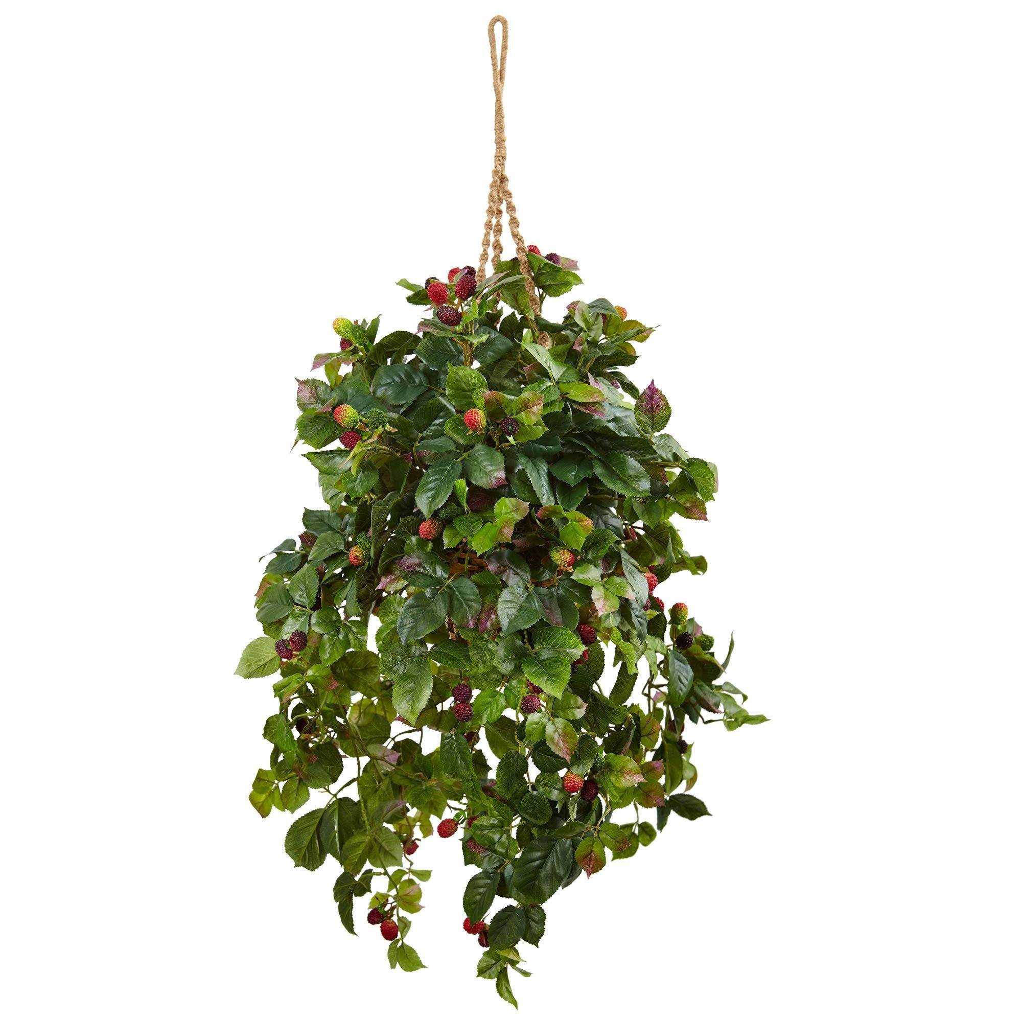 Raspberry Plant Hanging Basket | Nearly Natural