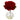 Red Hydrangea w/Glass Vase (Set of 3)