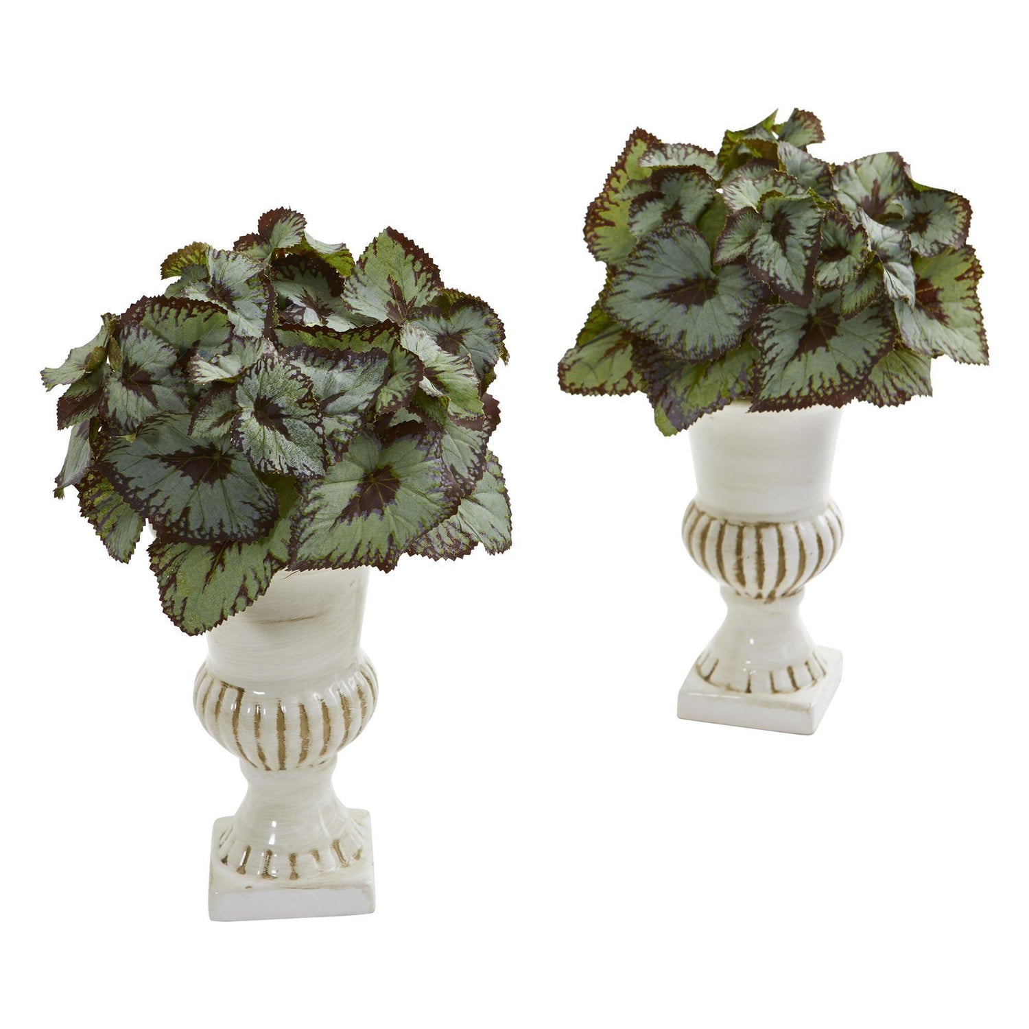 Rex Begonia Artificial Plant in White Urn (Set of 2)