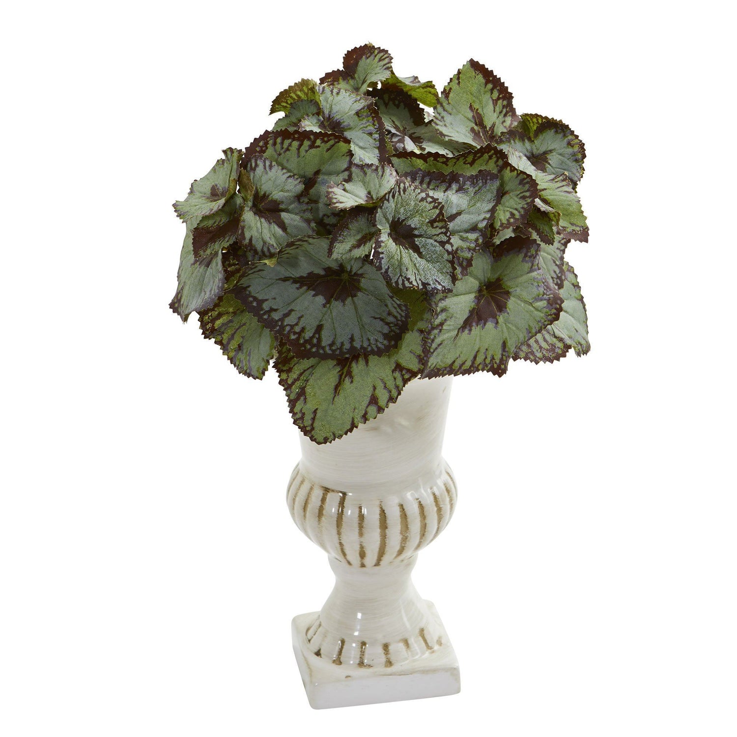 Rex Begonia Artificial Plant in White Urn (Set of 2)