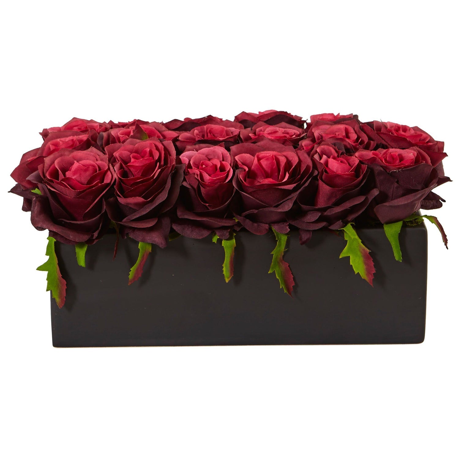 Roses in Rectangular Planter