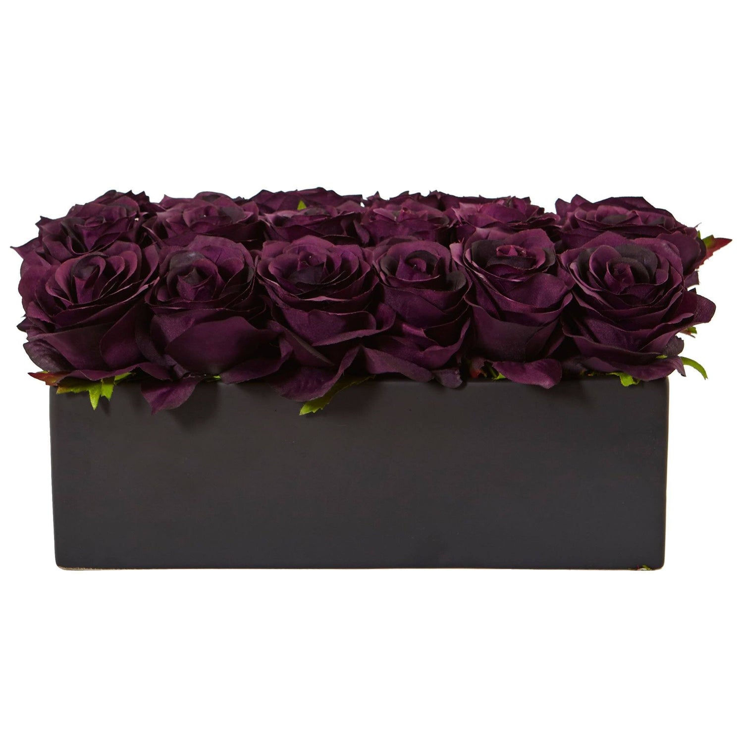 Roses in Rectangular Planter