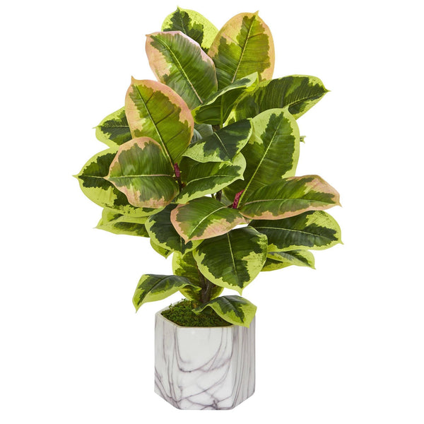 Rubber Leaf Artificial Plant in Marble Finished Vase (Real Touch)