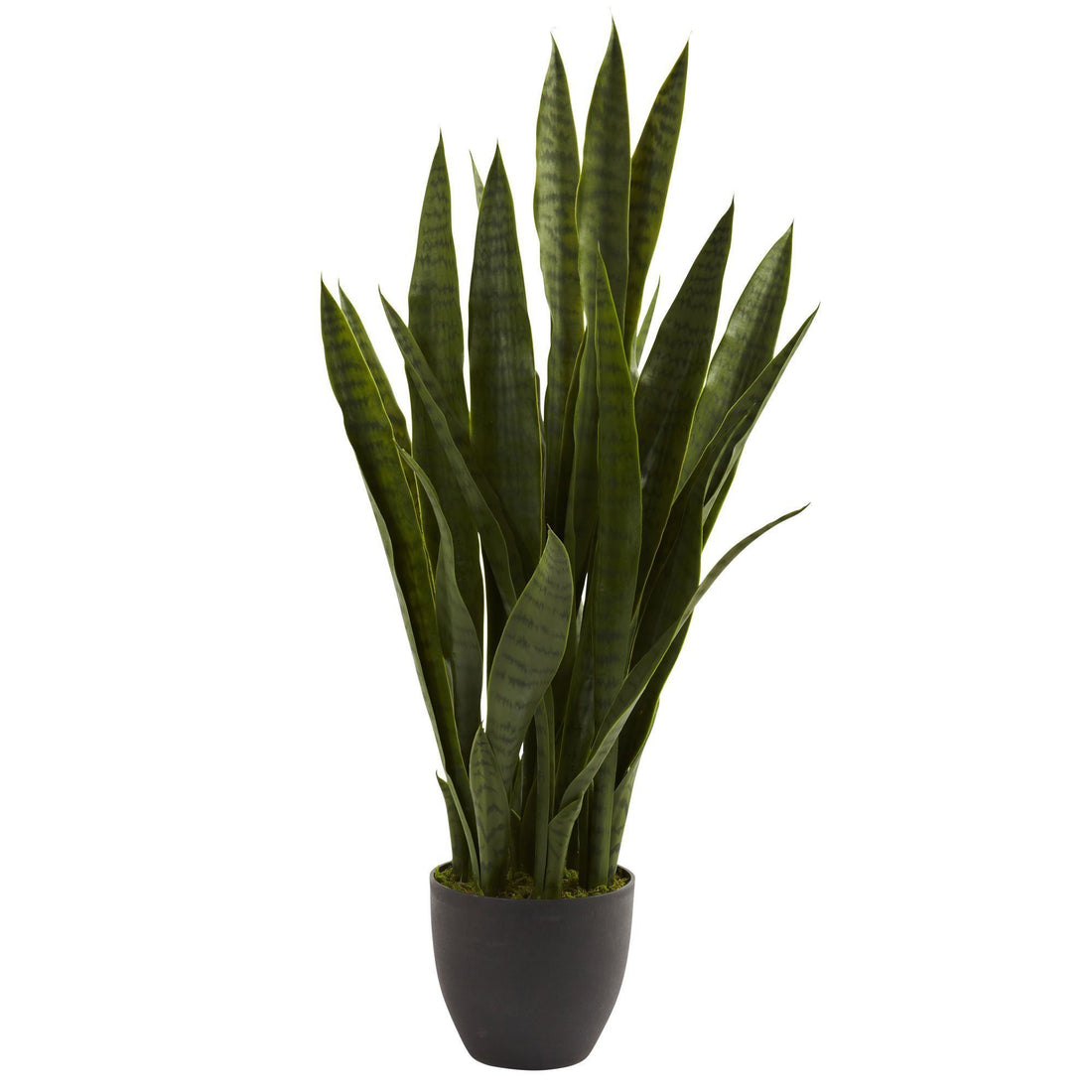 faux snake plant large Sansevieria w/Black Planter