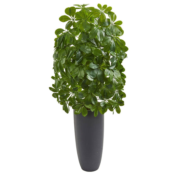 Schefflera Artificial Plant in Gray Planter (Real Touch)