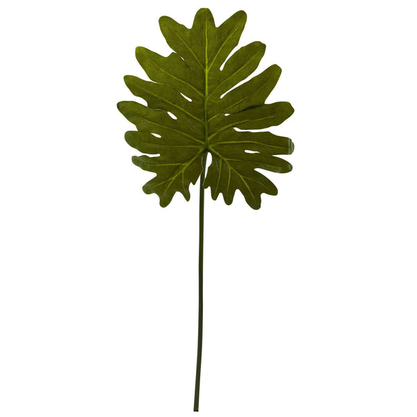 Selloum Philo Single Leaf Stem (Set of 12)