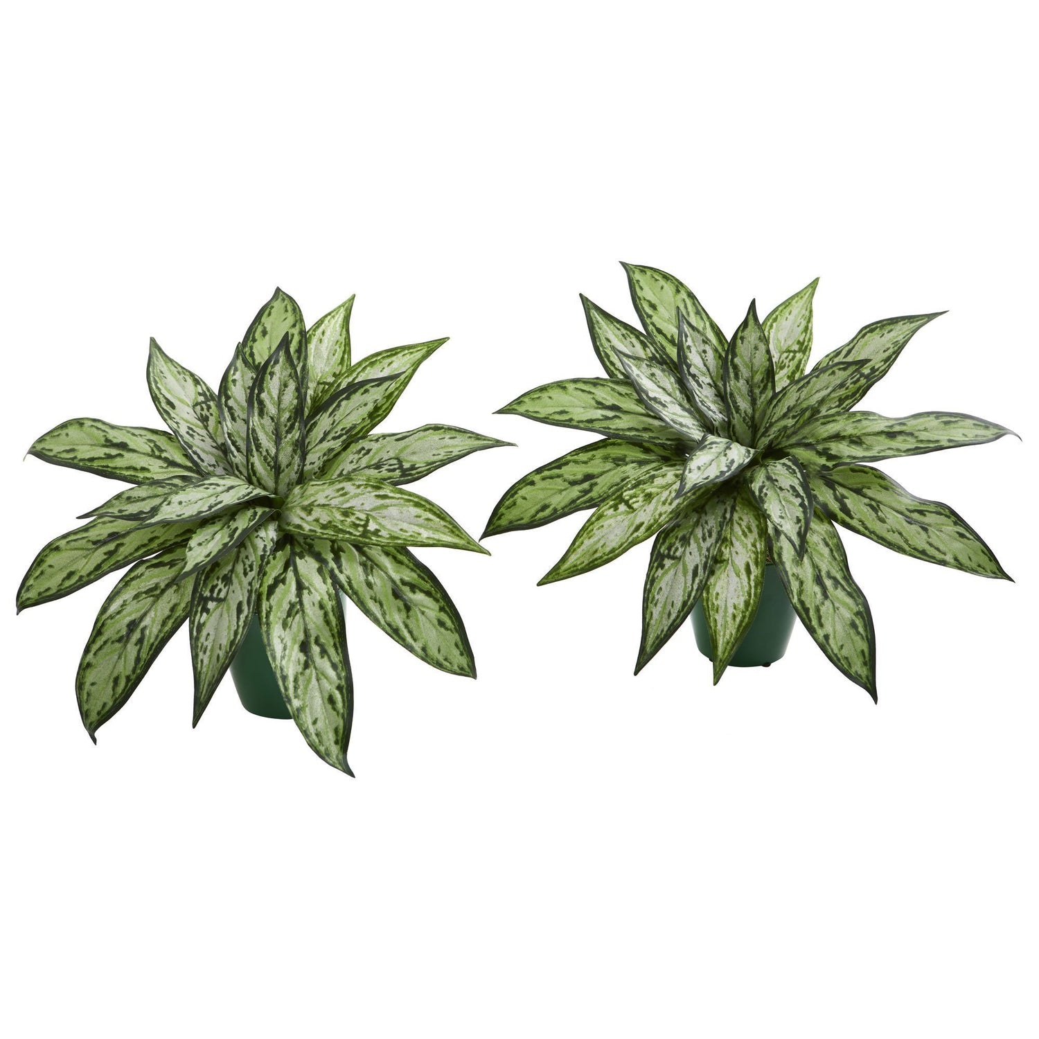 Silver Queen Artificial Plant in Green Planter (Set of 2)