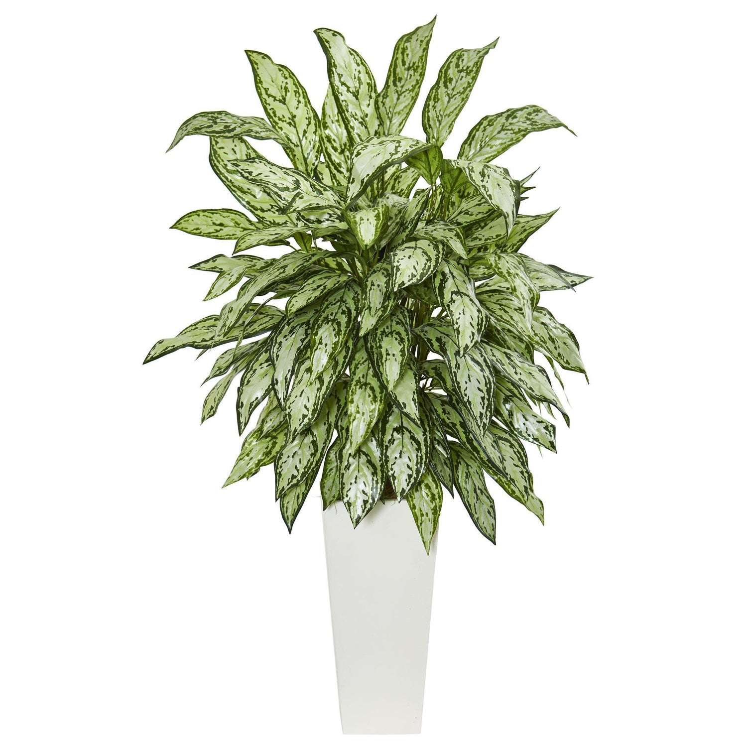 Silver Queen Artificial Plant in White Tower Planter
